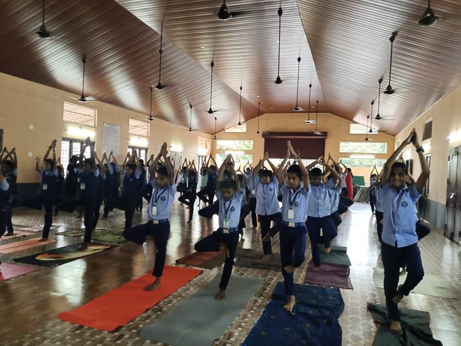 Yoga practice — tree pose